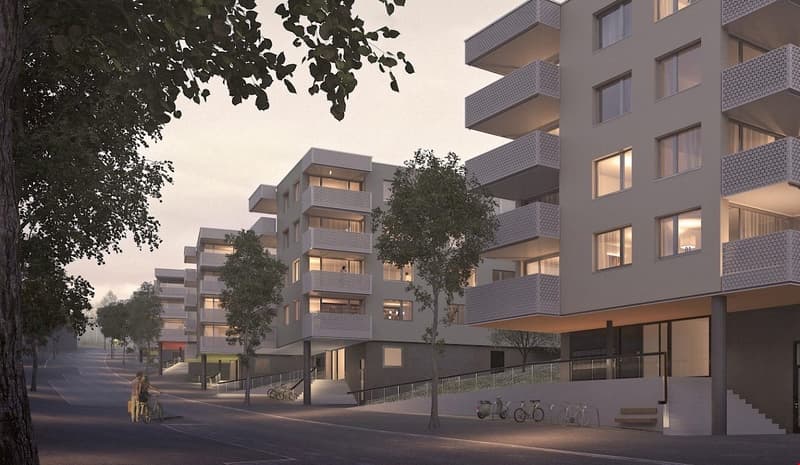 Bel appartement 2.5 pièces dans le quartier Papillon (1)