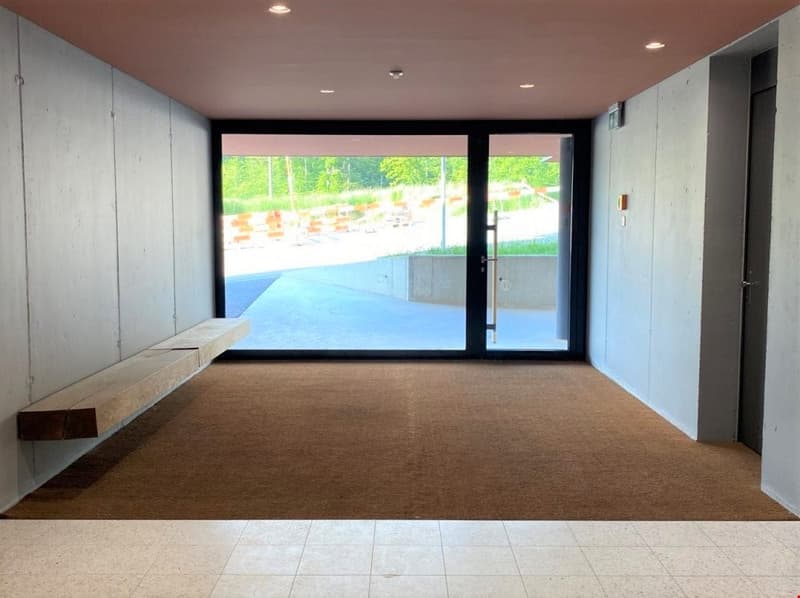 Bel appartement 2.5 pièces dans le quartier Papillon (8)