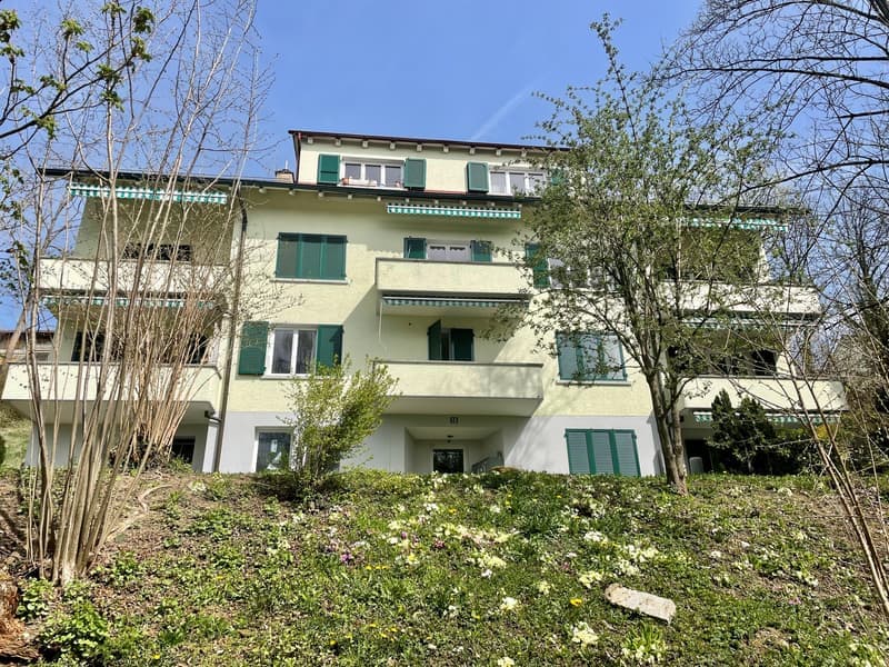 1.0-Room apartment in Zollikofen (1)