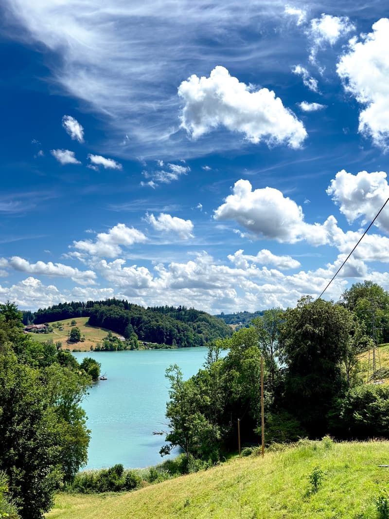 Einzigartiges Niedrigenergie-Solarhaus in Innerberg nahe Bern (17)