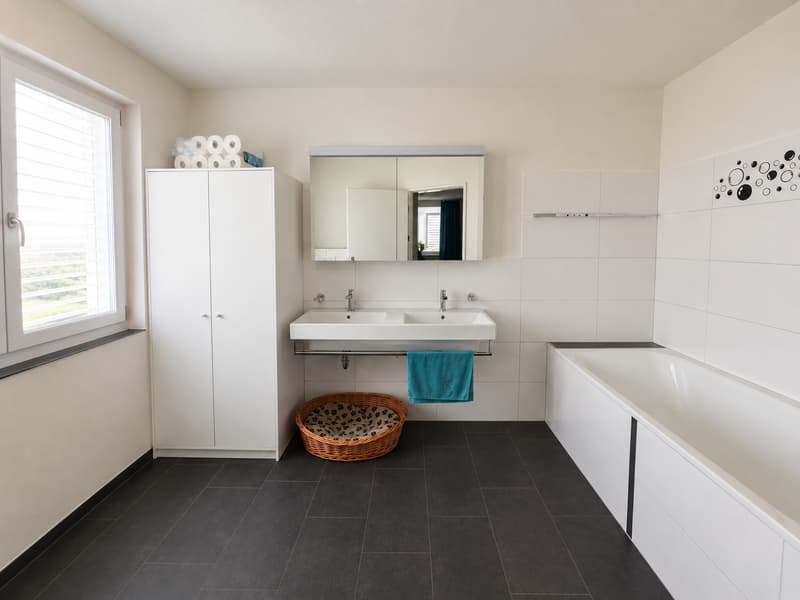 Bello appartamento 4 1/2 locali in affitto (7)