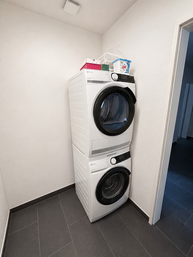 Bello appartamento 4 1/2 locali in affitto (8)