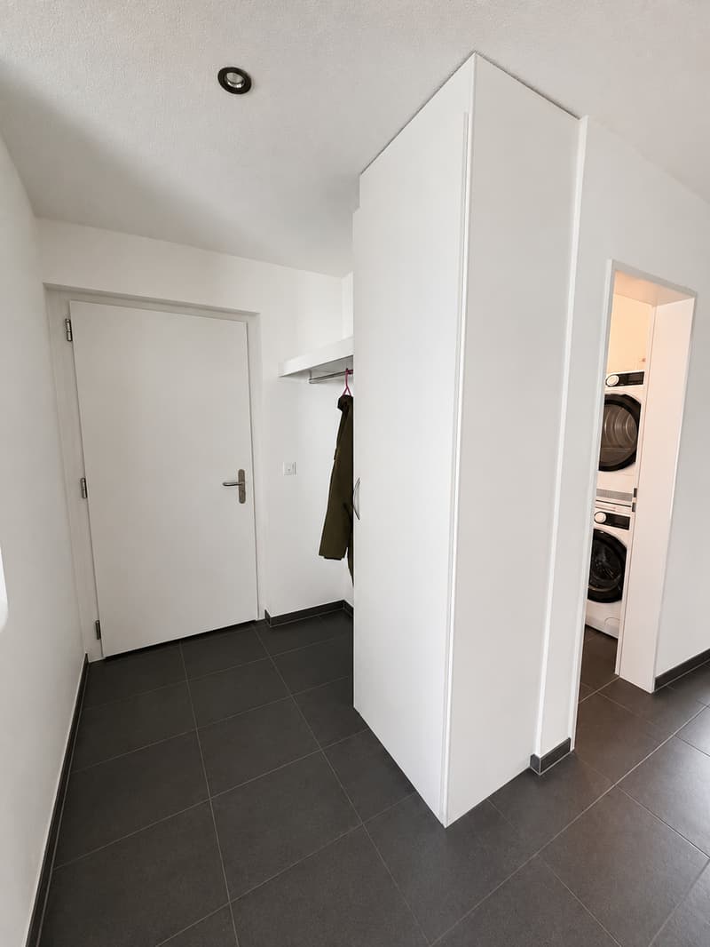Bello appartamento 4 1/2 locali in affitto (2)