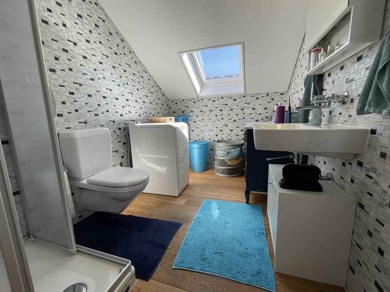 Bathroom with toilet, washing machine, sink, shower, blue rug, wooden floor, tiled walls, skylight