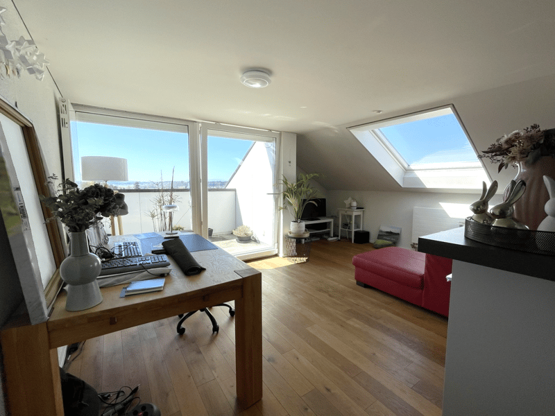wooden desk, computer, keyboard, mouse, books, vase, plants, lamp, red sofa, wooden floor, glass doors, skylight