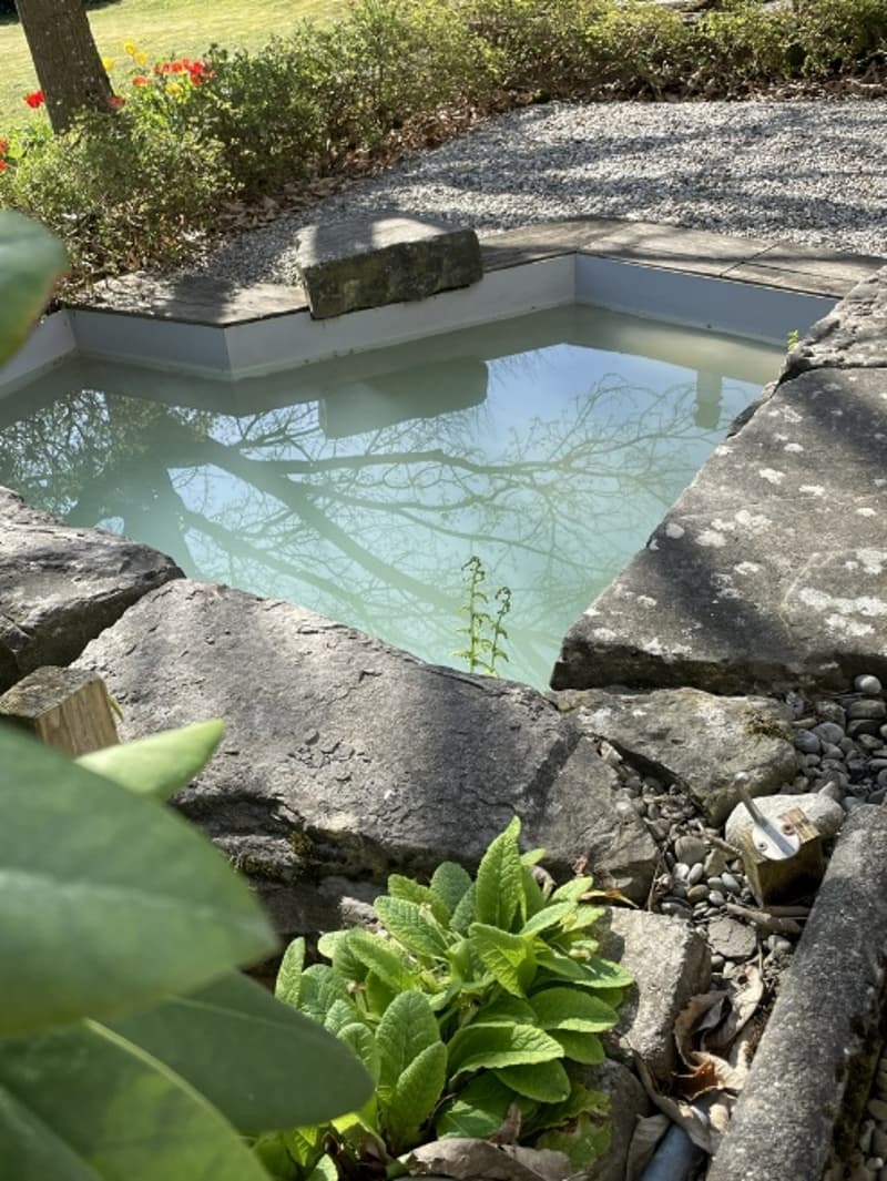 In a quiet location: 6.5 room single-family house with land reserve and large, romantic garden (5)