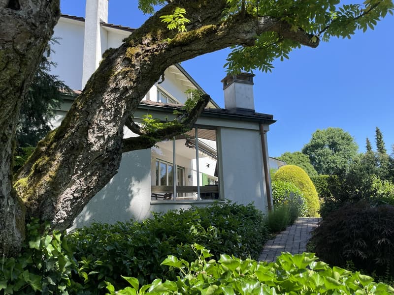 Doppeleinfamilienhaus mit grosser, idyllischer Gartenanlage (4)