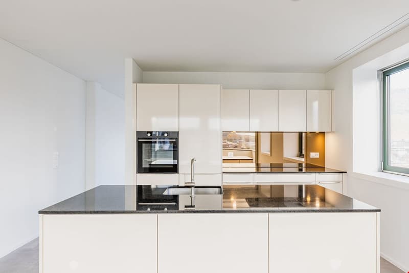 white kitchen cabinets, black countertops, integrated oven and dishwasher, double sink, modern interior