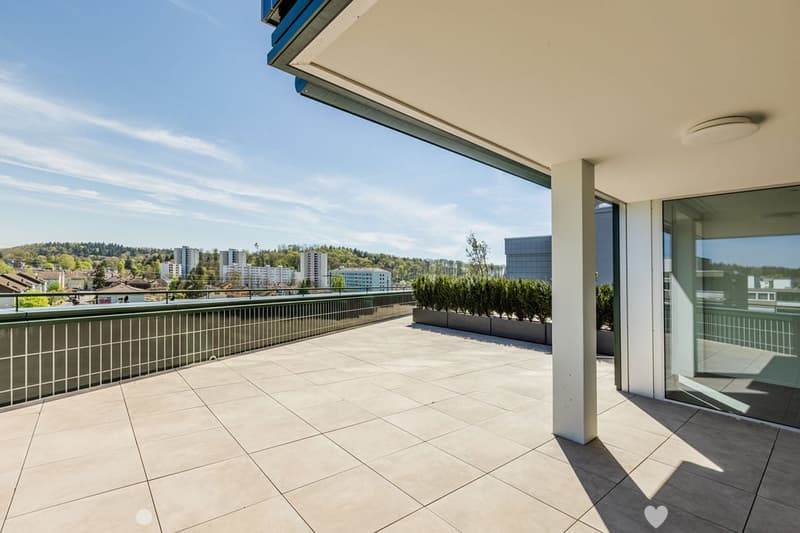 Tiled balcony, large glass doors, metal railings, large bushes, open view, high contrast shadows