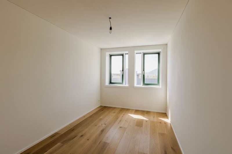 Room: hardwood floor, white walls, two windows, sun light