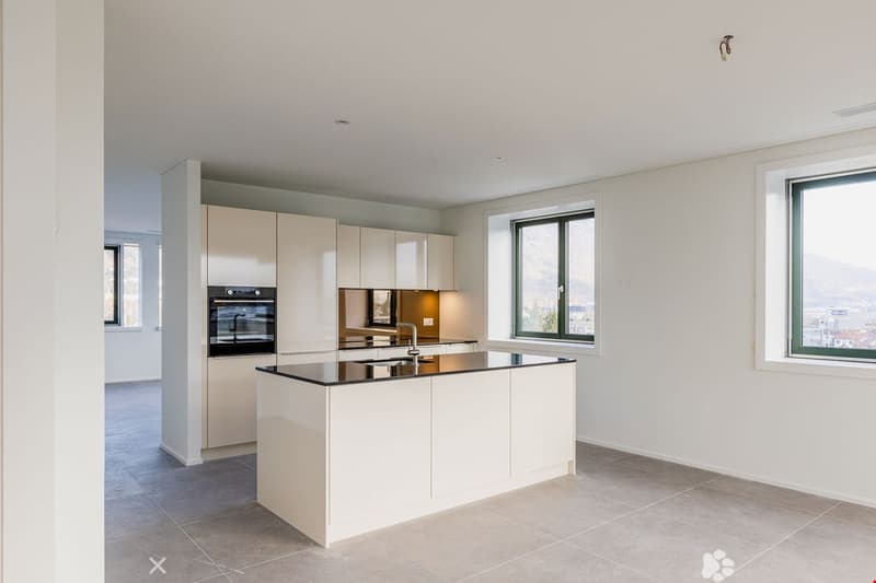 modern kitchen, large windows, large island, built-in appliances, tiled floor