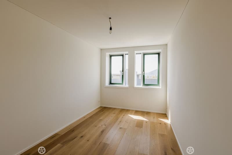 empty room, wooden floor, white walls, two windows, small lamp