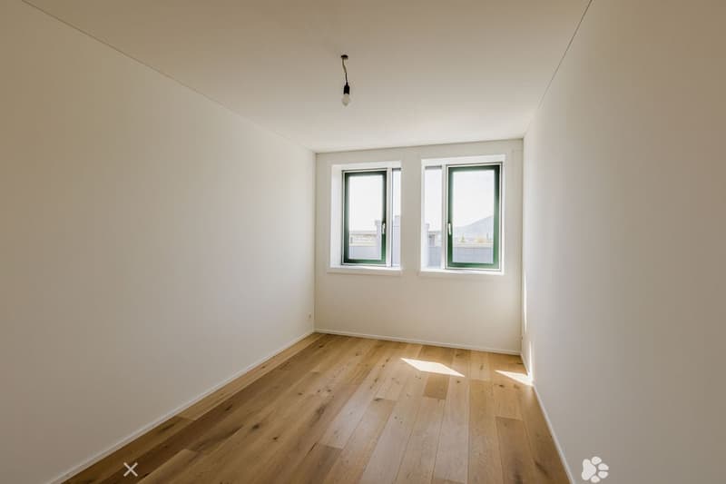 empty room, wooden floor, white walls, two windows, small lamp