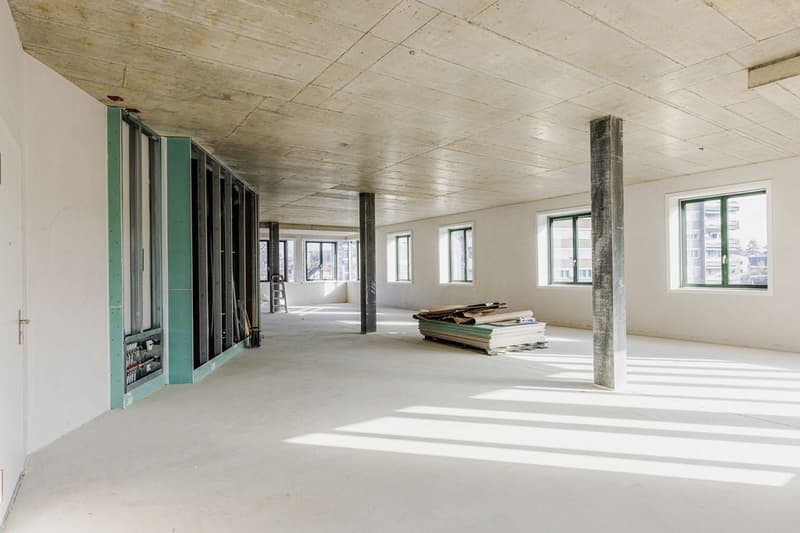Einzigartige Gewerbefläche in Neubau (5)