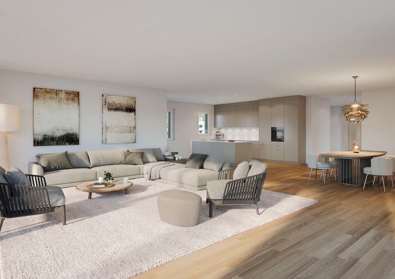 Natürlich schön wohnen - moderne 4.5-Zimmer-Attika-Neubauwohnung (2)