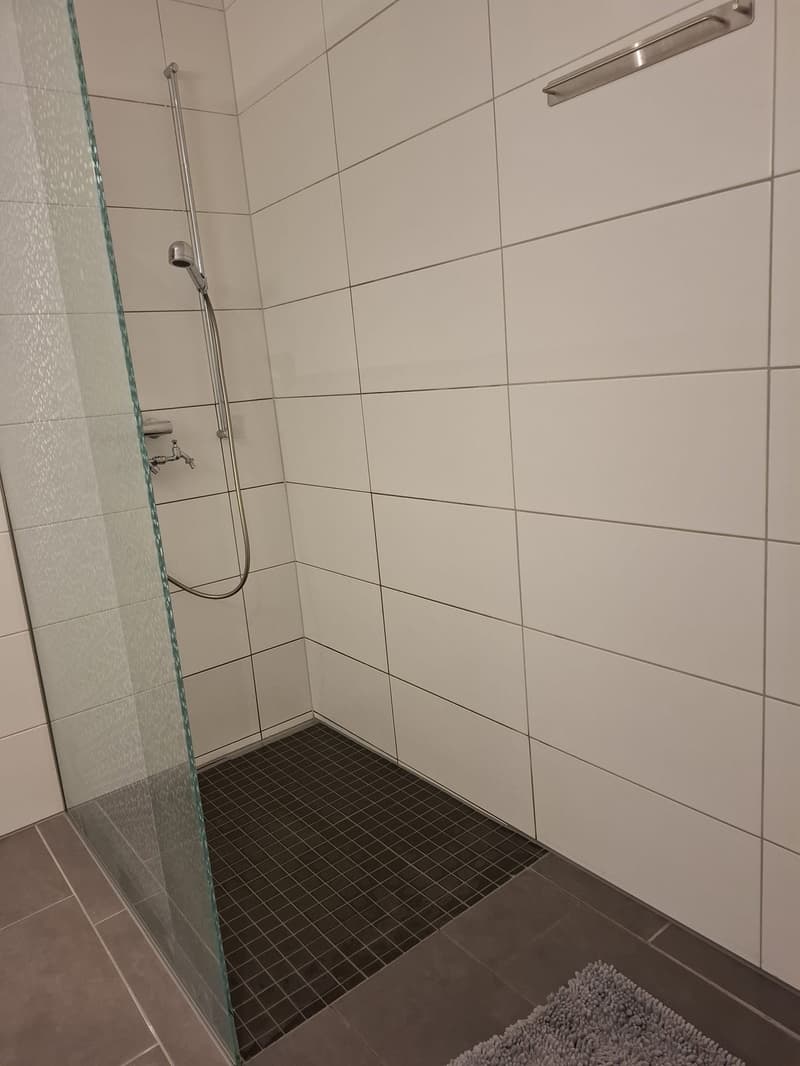 Helle 4.5 Zimmerwohnung mit 2 Balkonen (11)