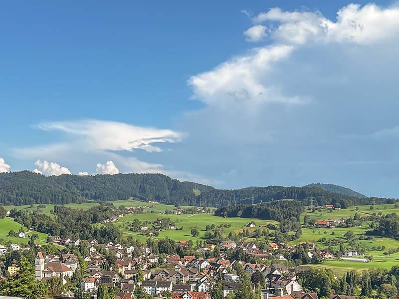 A village with houses surrounded by mountains and green fields.