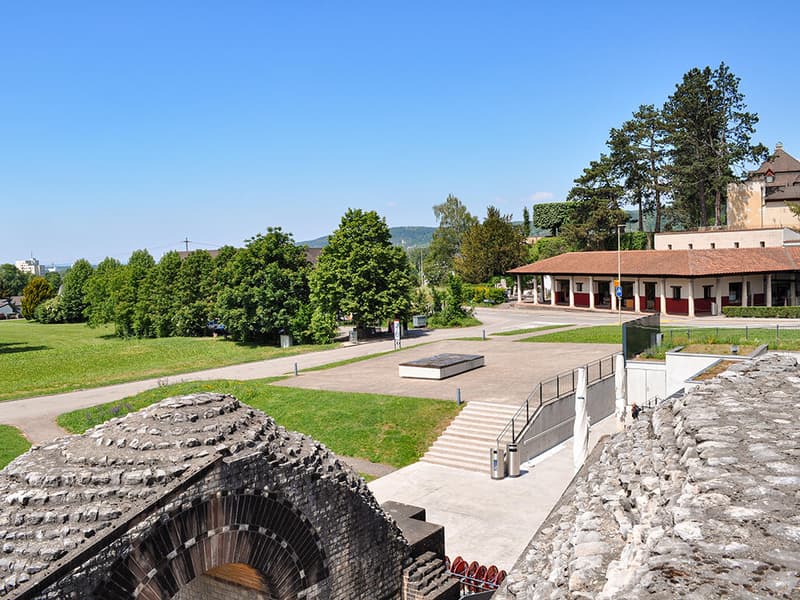 Open space with grass, trees, and a building with a red roof in the background