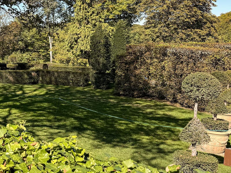 Well-maintained garden with neatly trimmed hedges, a variety of shrubs, and a green hose visible.