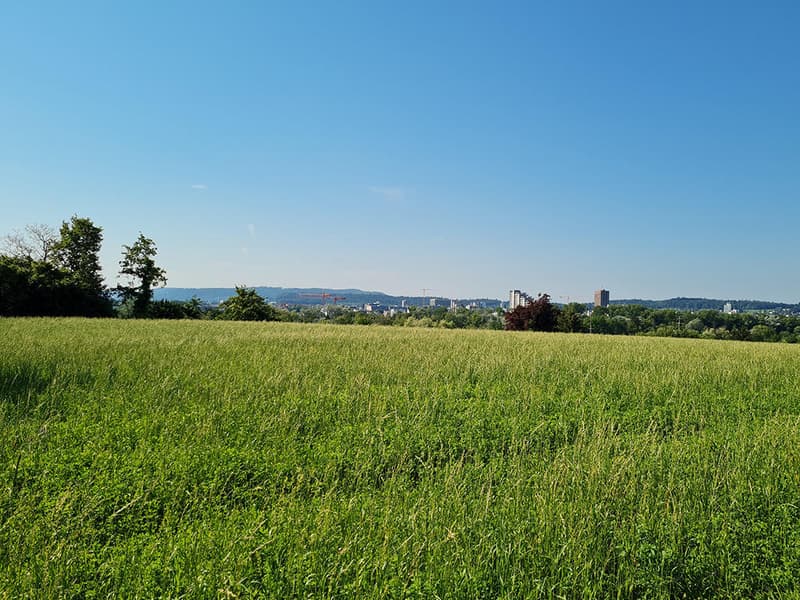 AARAU NORD - SCHÖNE WOHNUNG MIT HERRLICHER AUSSICHT UND GROSSER TERRASSE (2)