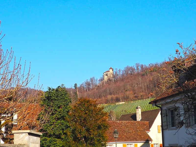 ARLESHEIM - ERSTKLASSIGE VILLA (3)