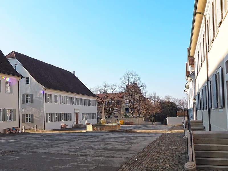 ARLESHEIM - ERSTKLASSIGE VILLA (4)