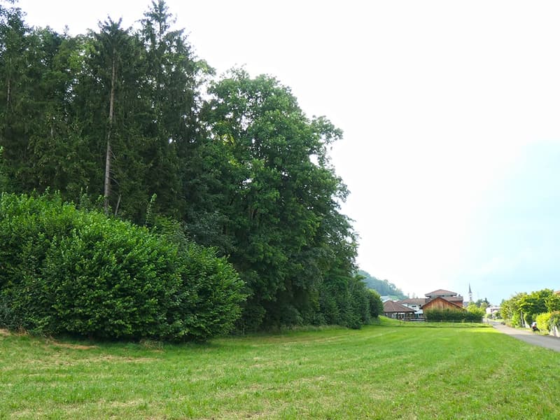 EIKEN - RAFFINIERTE WOHNUNG (4)