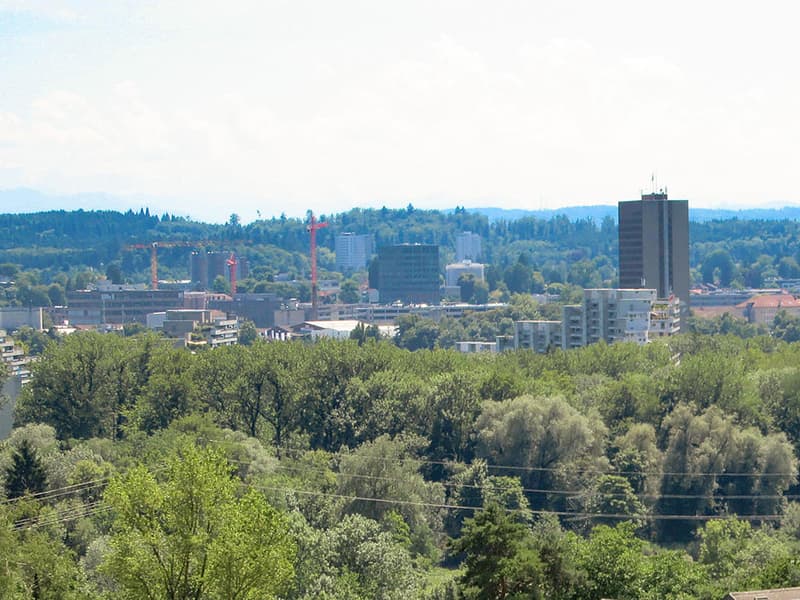 AARAU NORD - GENIALE GARTENWOHNUNG (3)
