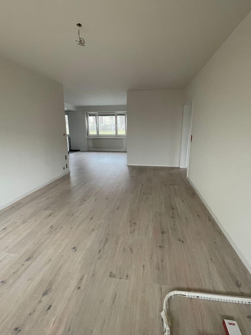 Moderne, renovierte 3.5-Zimmer-Wohnung mit Balkon in Ins (7)