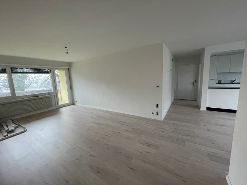 Moderne, renovierte 3.5-Zimmer-Wohnung mit Balkon in Ins (5)