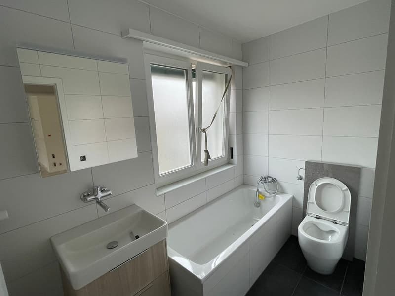 Moderne, renovierte 3.5-Zimmer-Wohnung mit Balkon in Ins (14)