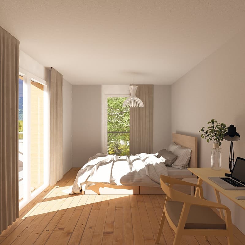 Charmant appartement 2.5 pièces près du lac (3)