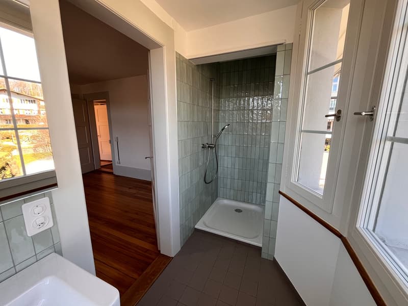 Bathroom with wooden floor, white walls, white sink, shower with glass door, power outlet, window