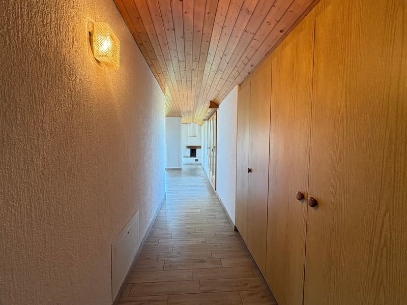 Charming 2.5-room apartment with mountain views in Thun (9)