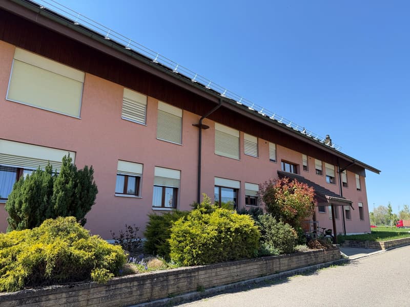 Charming 2.5-room apartment with mountain views in Thun (2)