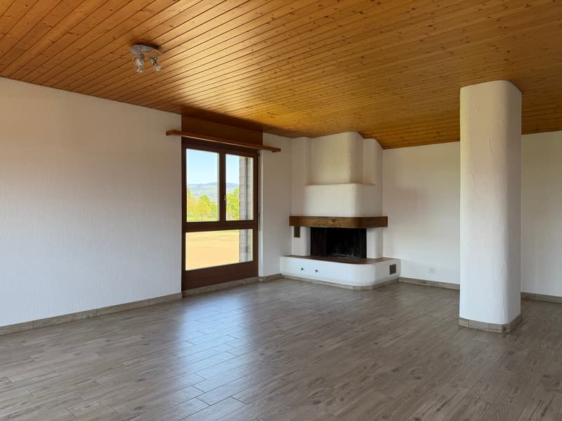Charming 2.5-room apartment with mountain views in Thun (3)