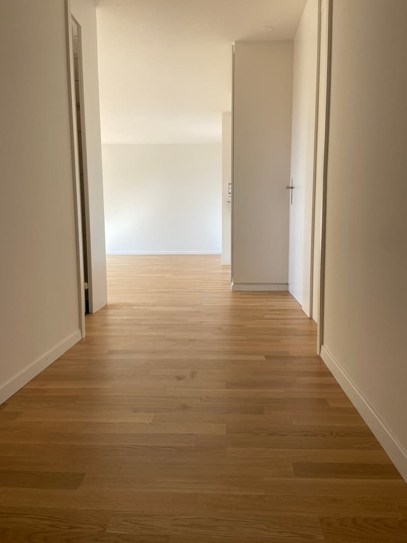 Appartamento soleggiato di 4,5 locali con panorama del Niesen in Länggasse a Thun (2)