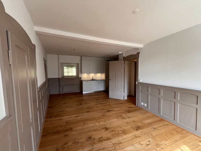Beau appartement dans le vieux quartier au cœur de Thun - appartement 3 pièces (4)