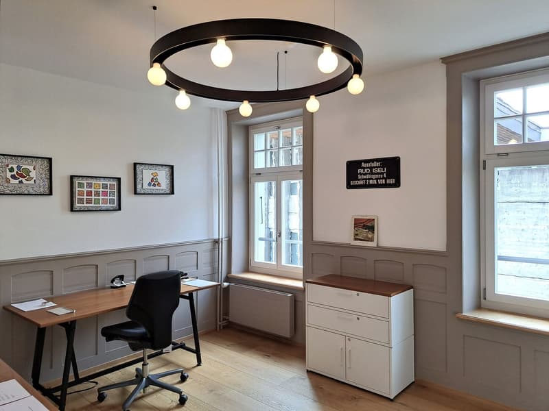 Beau appartement dans le vieux quartier au cœur de Thun - appartement 3 pièces (8)