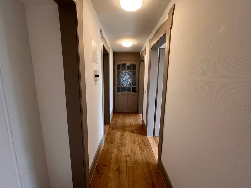 Beau appartement dans le vieux quartier au cœur de Thun - appartement 3 pièces (11)