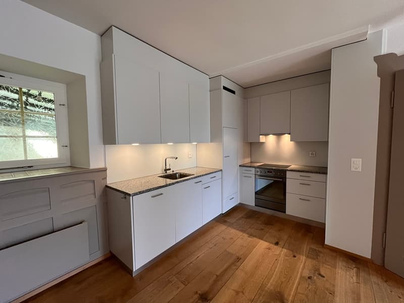 Beau appartement dans le vieux quartier au cœur de Thun - appartement 3 pièces (5)