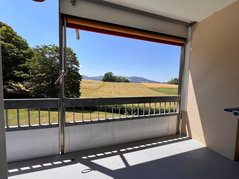 Appartamento di 4,5 locali adatto ai bambini nel quartiere di Seidenberg con vista sul Gurten (3)
