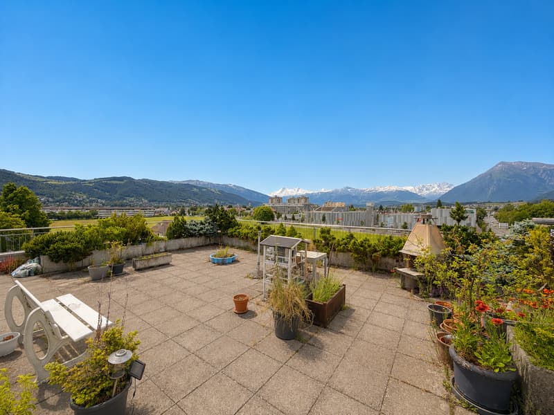 Alpenpanorama, Privatsphäre und Perfektion – exklusive 7-Zimmer Attikawohnung (6)