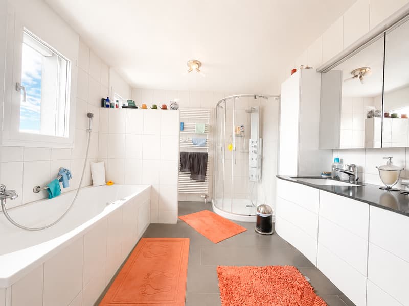 Alpenpanorama, Privatsphäre und Perfektion – exklusive 7-Zimmer Attikawohnung (14)