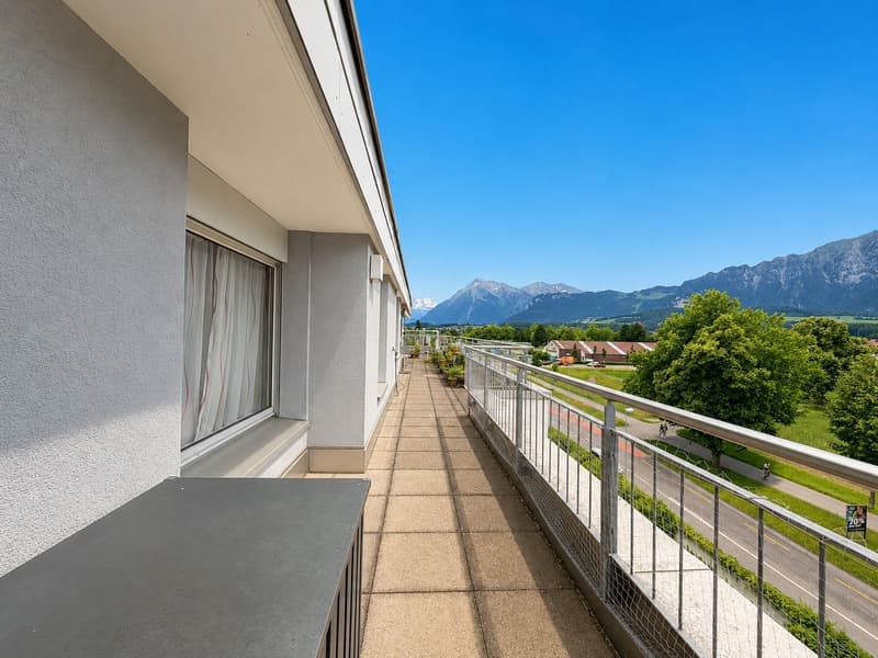 Alpenpanorama, Privatsphäre und Perfektion – exklusive 7-Zimmer Attikawohnung (4)