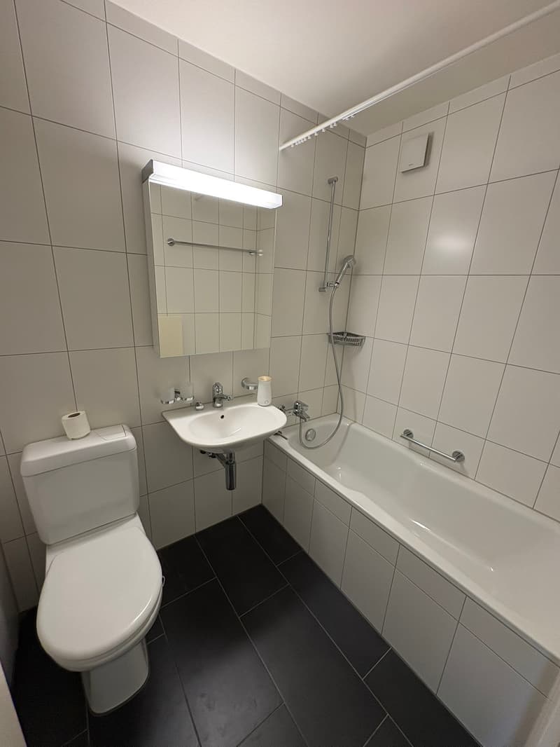 Helle 3½-Zimmer-Wohnung mit Balkon und schöner Bergsicht! (7)