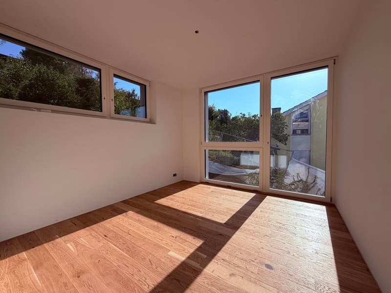 Lichtdurchflutete 4½-Zimmer-Neubau-Wohnung mit traumhaftem Alpenpanorama (4)