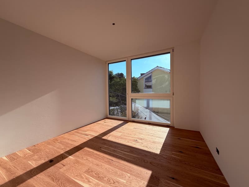 Lichtdurchflutete 4½-Zimmer-Neubau-Wohnung mit traumhaftem Alpenpanorama (5)