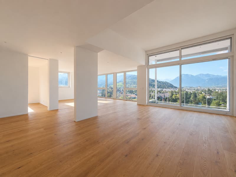 Lichtdurchflutete 4½-Zimmer-Neubau-Wohnung mit traumhaftem Alpenpanorama (1)