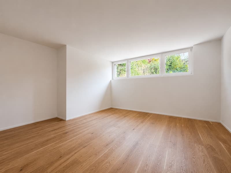 Lichtdurchflutete 4½-Zimmer-Neubau-Wohnung mit traumhaftem Alpenpanorama (3)